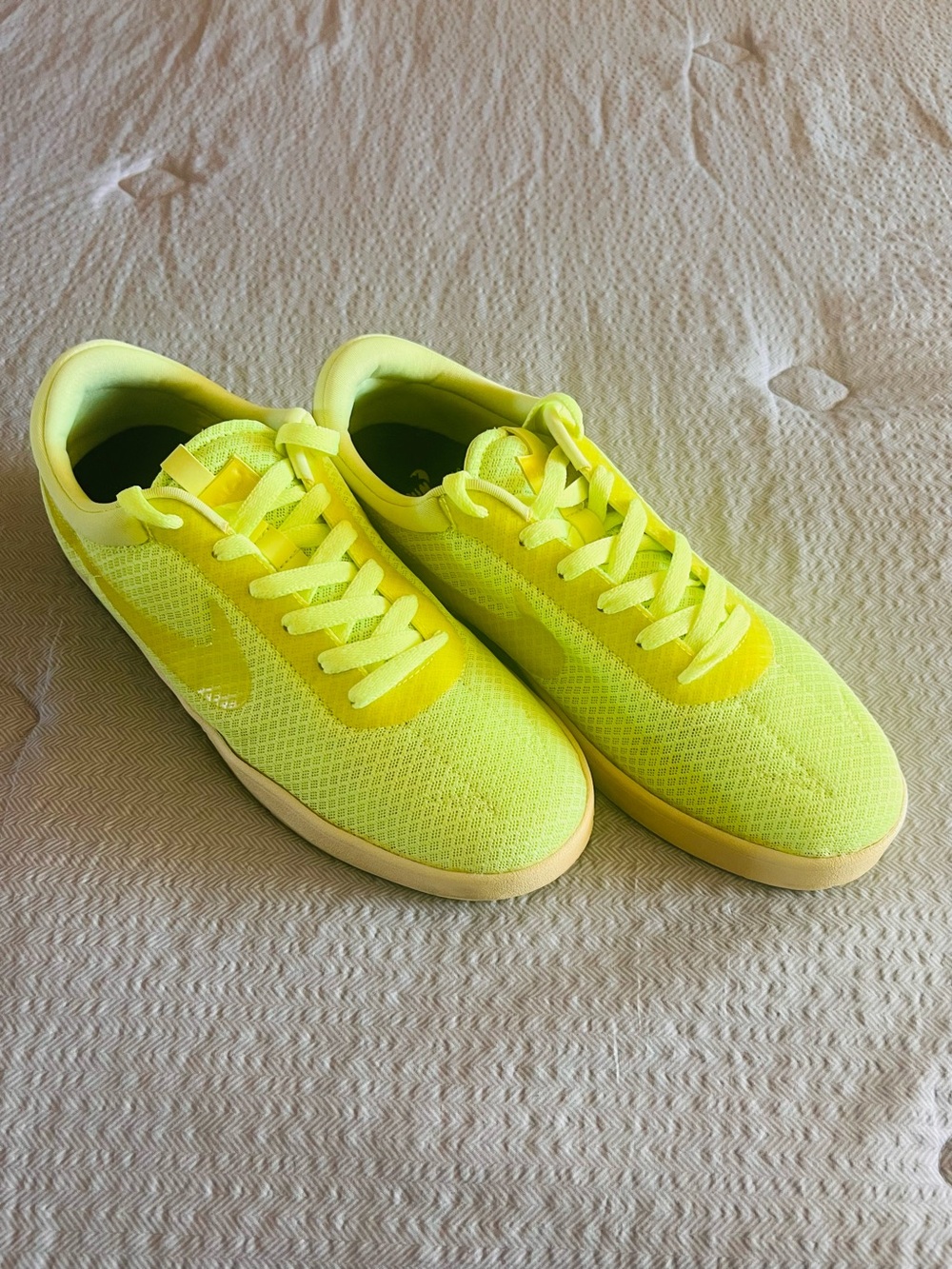 Nike SB Eric Koston FR in the "Liquid Lime"🍋‍🟩 era of the SB 2013 all original